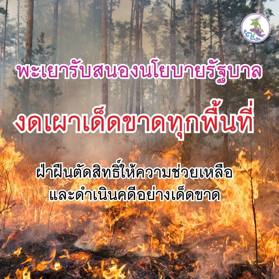 ขอความร่วมมืองดเว้นการเผาโดยเด็ดขาด ตั้งแต่วันที่ 31 มกราคม - 30 เมษายน 2568