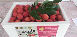 การขออนุญาตใช้ตราสัญลักษณ์สิ่งบ่งชี้ทางภูมิศาสตร์ไทย GI  ลิ้นจี่แม่ใจพะเยา